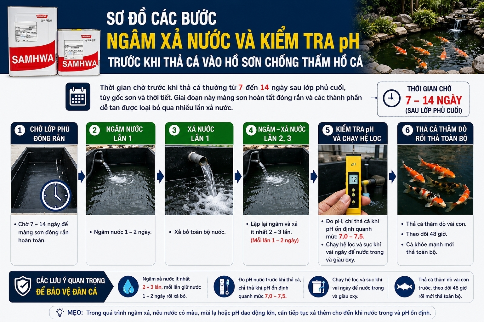 Sơ đồ các bước ngâm xả nước và kiểm tra pH trước khi thả cá vào hồ sơn chống thấm hồ cá