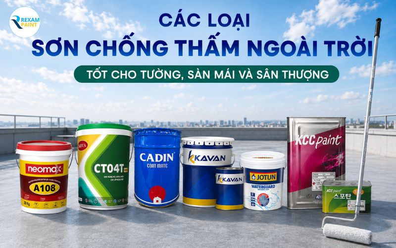 Các loại sơn chống thấm ngoài trời tốt nhất cho tường, sàn mái và sân thượng