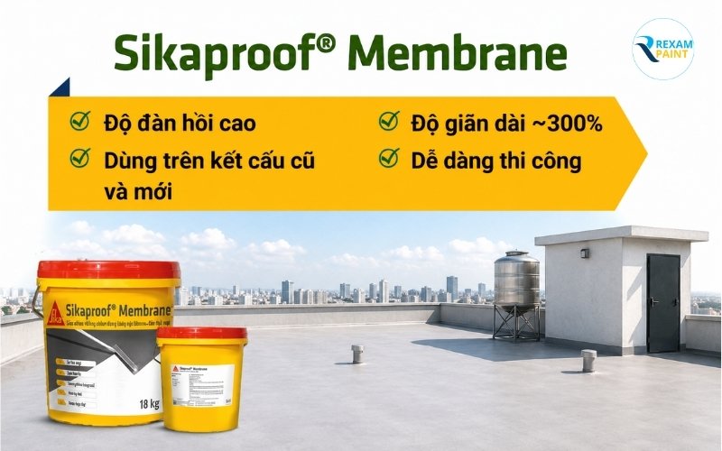 Sơn chống thấm Sikaproof Membrane dạng màng đàn hồi gốc bitum polymer cho sàn mái và tầng hầm