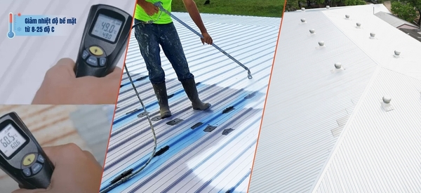 Đội thi công sơn chống nóng mái tôn nhà xưởng RexamPaint